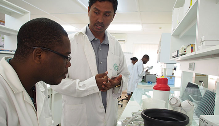 DR. RAMAIAH confers with Arnaud Gouda, a research technician in the AfricaRice Biotechnology Laboratory, where they are "mining" for alleles in the genebank.